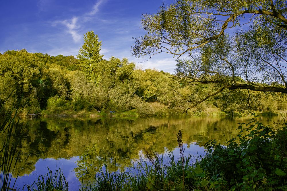 Photograph by Евгений Анисимов