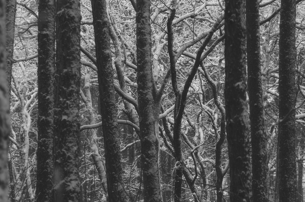 Photograph by Viktor Petrov