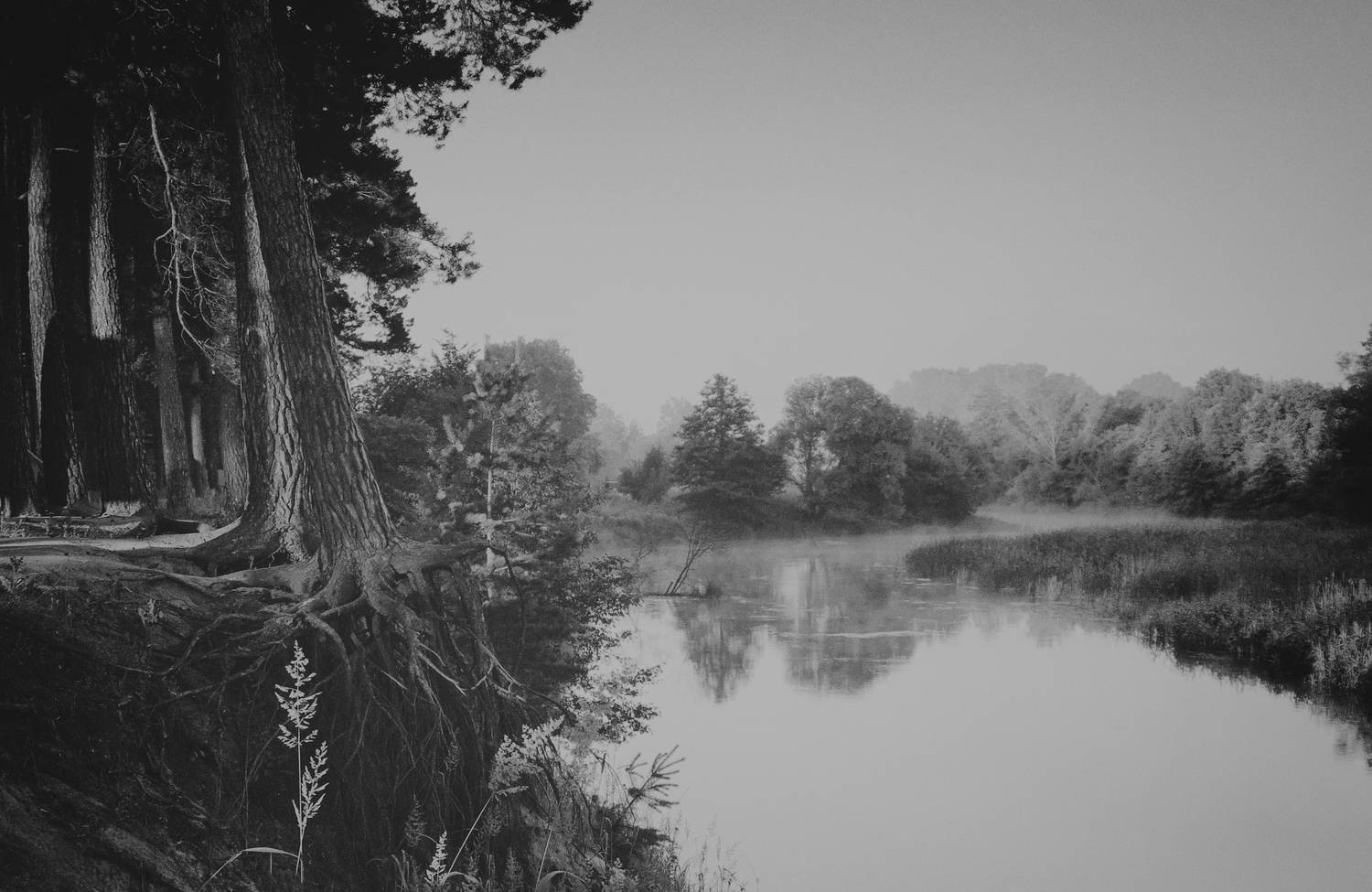 Photo #11636678