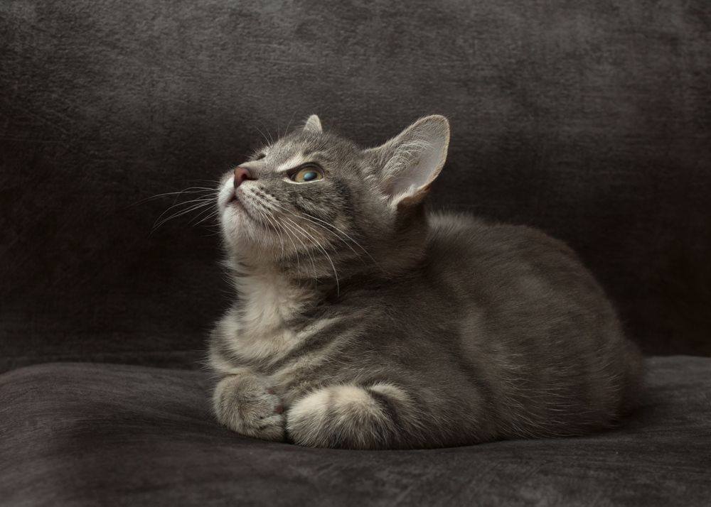 Photograph by Сергей Алексеев