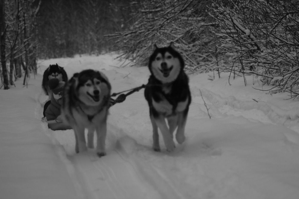 Photograph by Елена Наленч