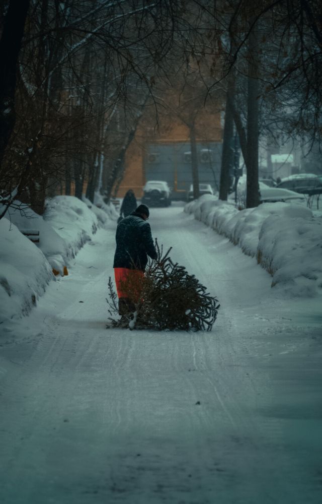 Photograph by Павел Быков