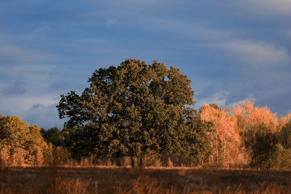 Photograph by Сергей Конюшенко