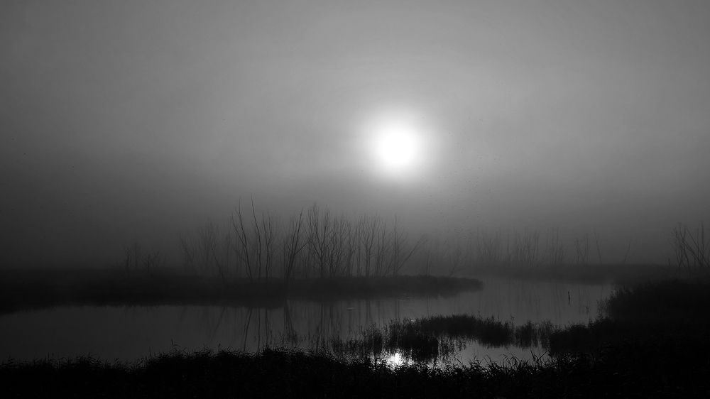 Photograph by Вербицкий Петр