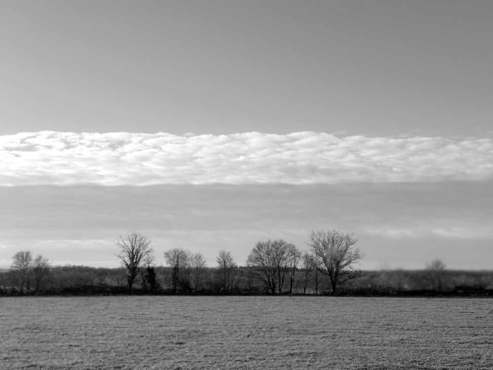 Photograph by daria eipert