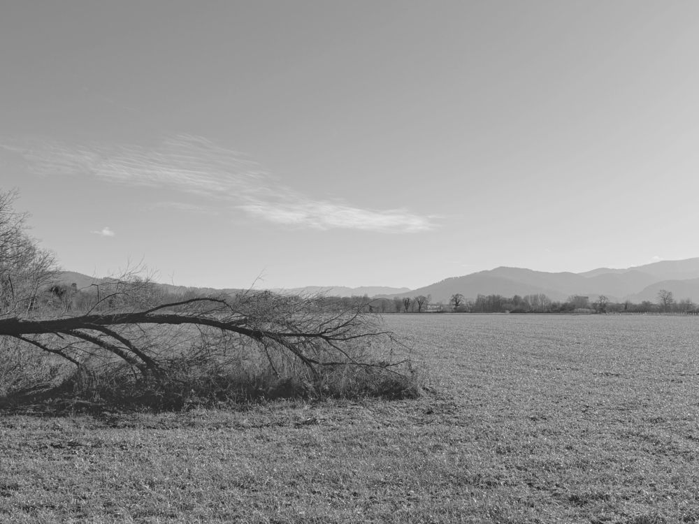 Photograph by daria eipert