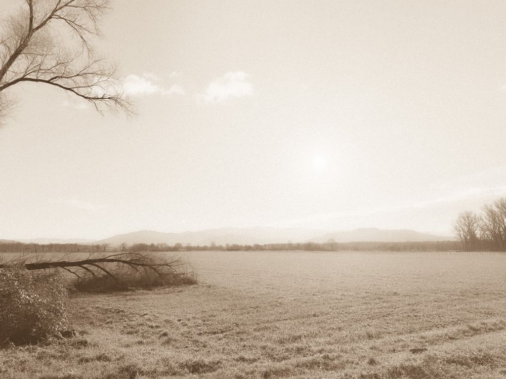 Photograph by daria eipert