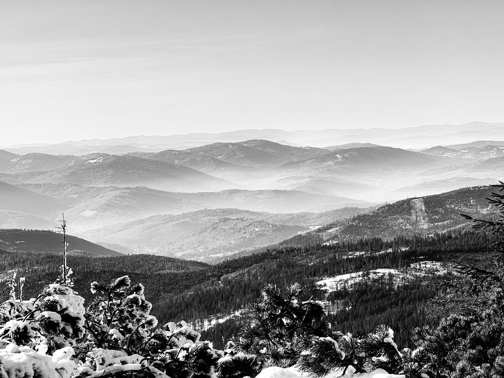 Photograph by Сидоренко Оксана