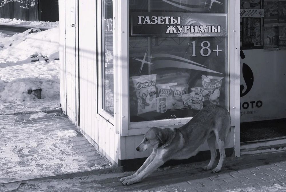 Photograph by Светлана Логинова