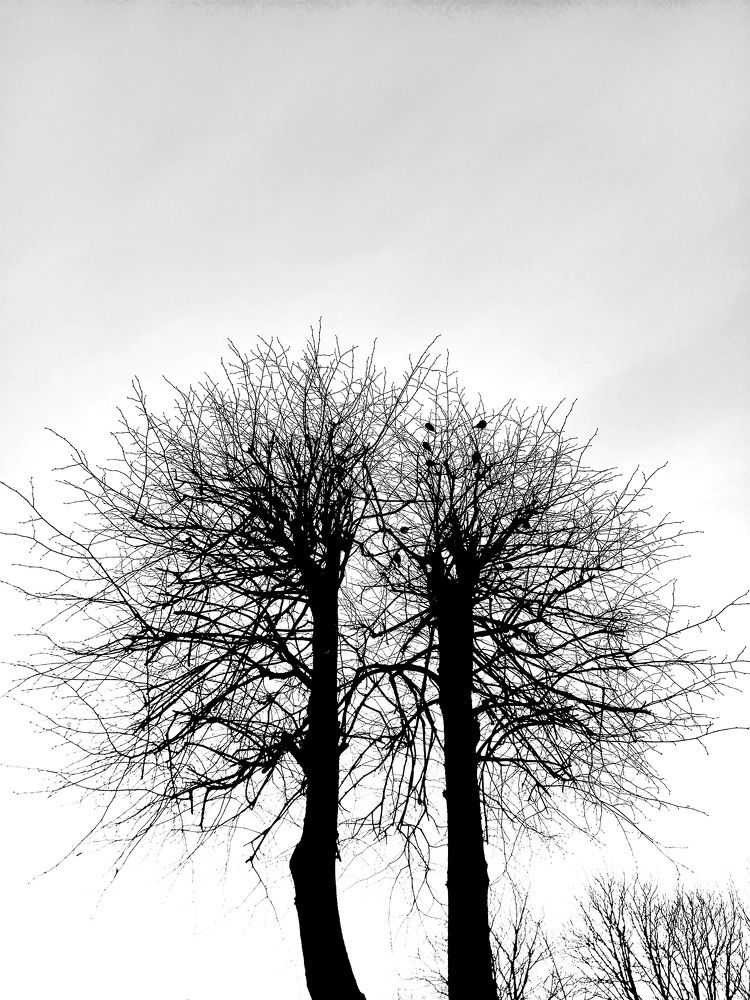 Photograph by Елена Воронова