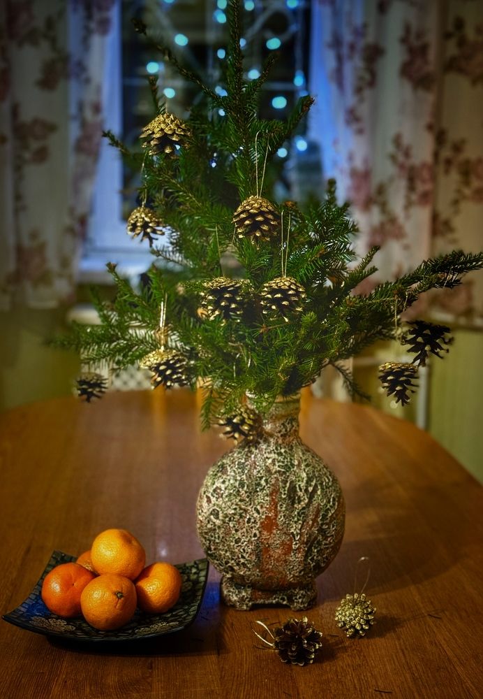 Фотография автора Evgeniya Ivanova