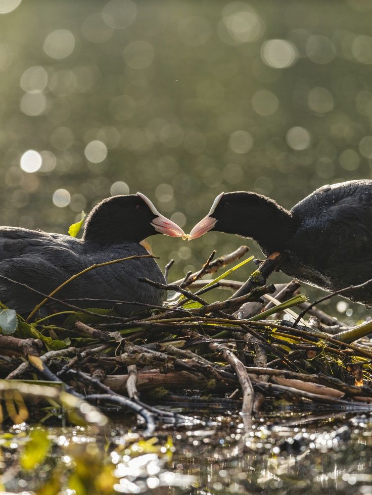 Photograph by Anton Gavrilov