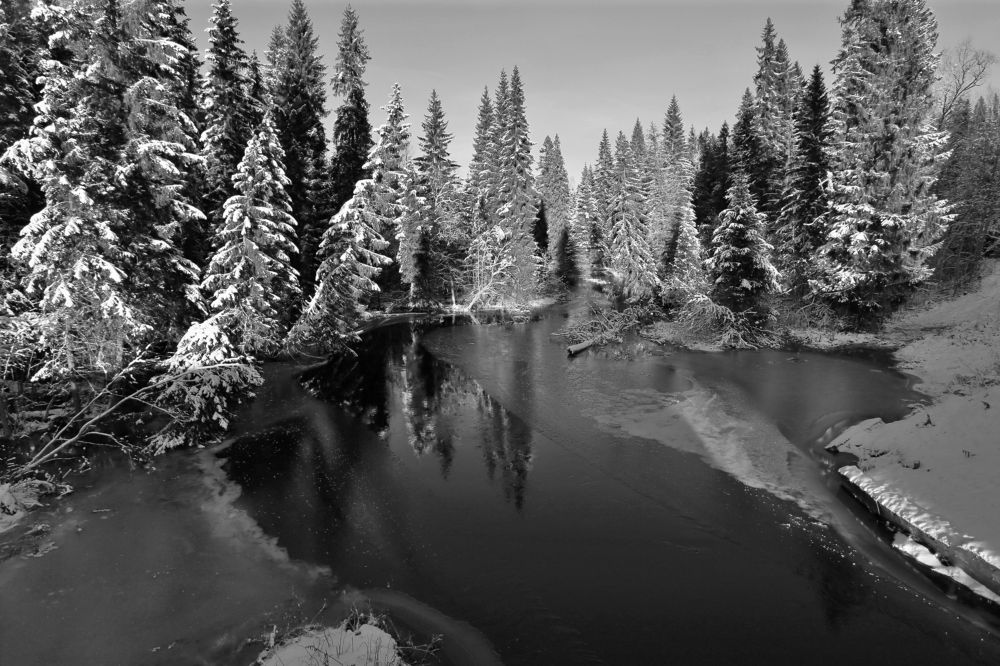 Photograph by Николай Раппу