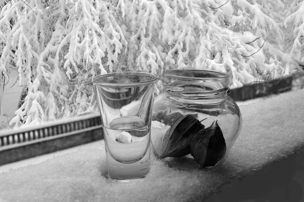 Фотография автора Penka Berberova