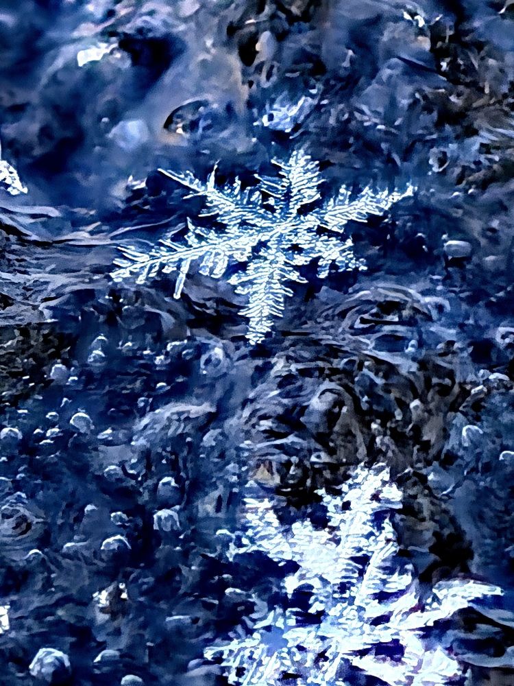 Photograph by Оксана Абакумова