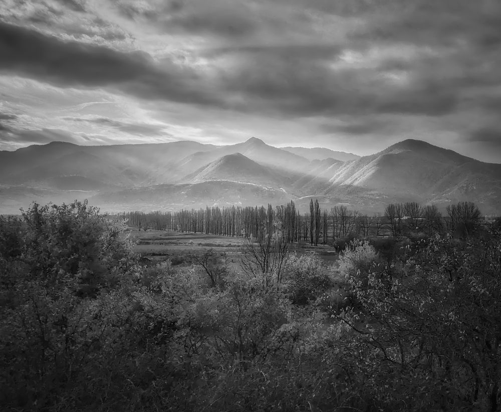 Photograph by Дудников Александр