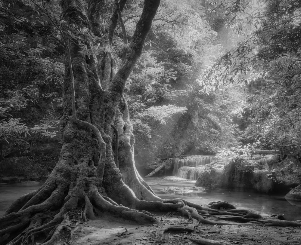 Photograph by Дудников Александр