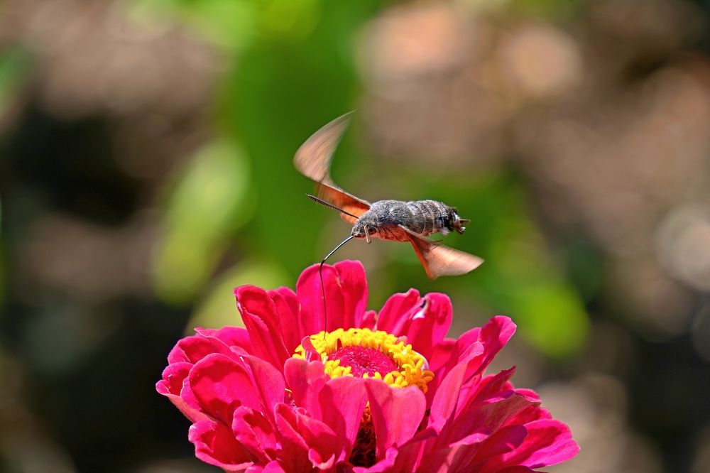 Photograph by Михаил Косолапов