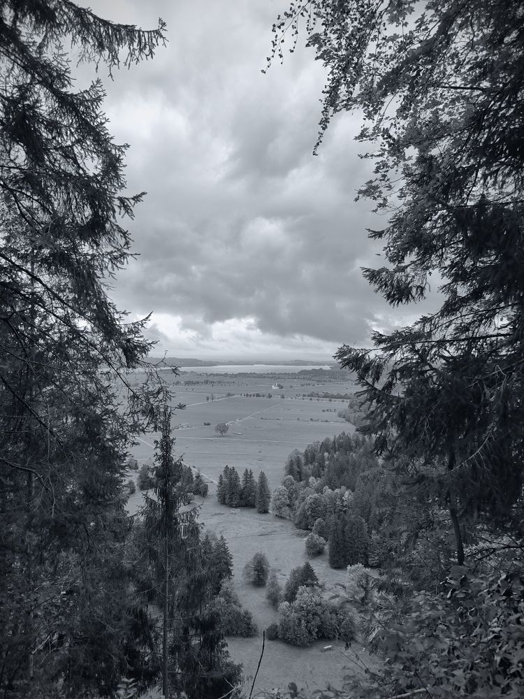 Photograph by Елена Симонова