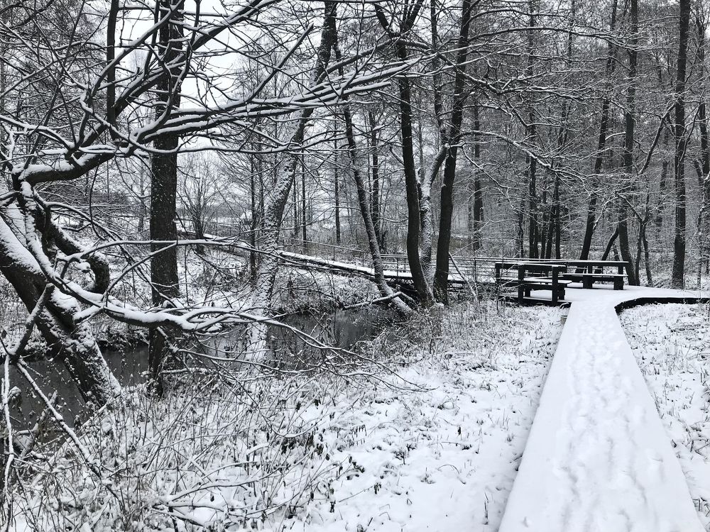 Photograph by Надежда Ткаченко
