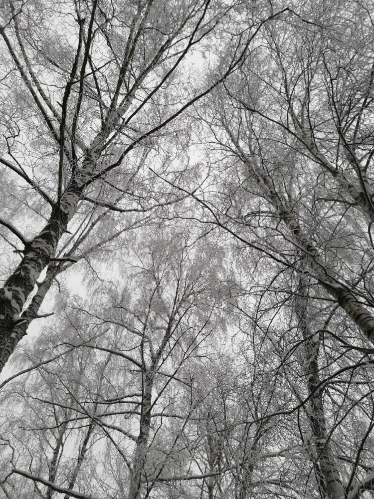 Photograph by Александр Алексеев