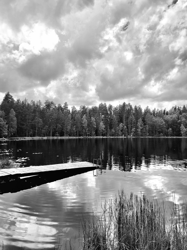 Утро на озере