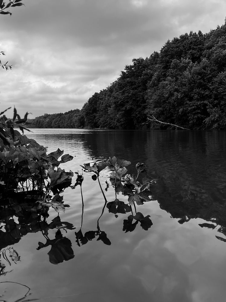 Photograph by Анна