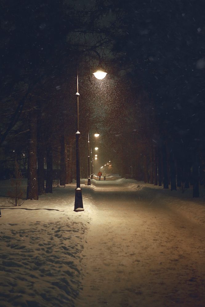 Photograph by Юлия Шишкина (Julia Madera)