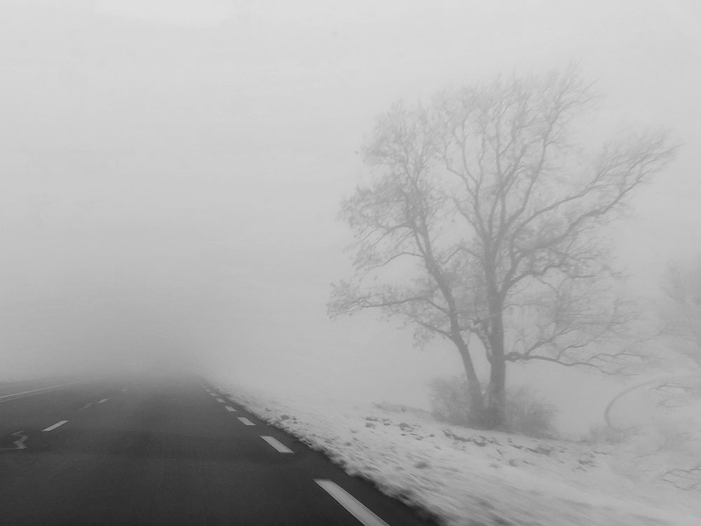 Photograph by Ирина Виноградова