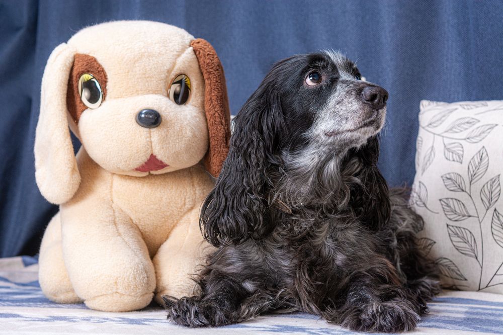 Photograph by Алексей Ильин