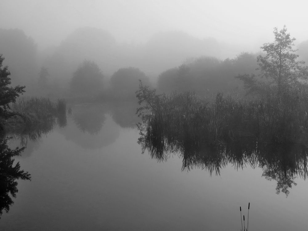 Photograph by Андрей Осмоловский