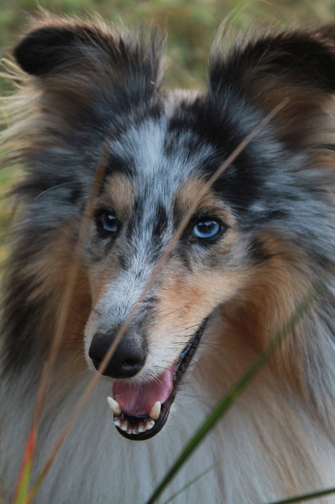 Photograph by Мария Раззувайло