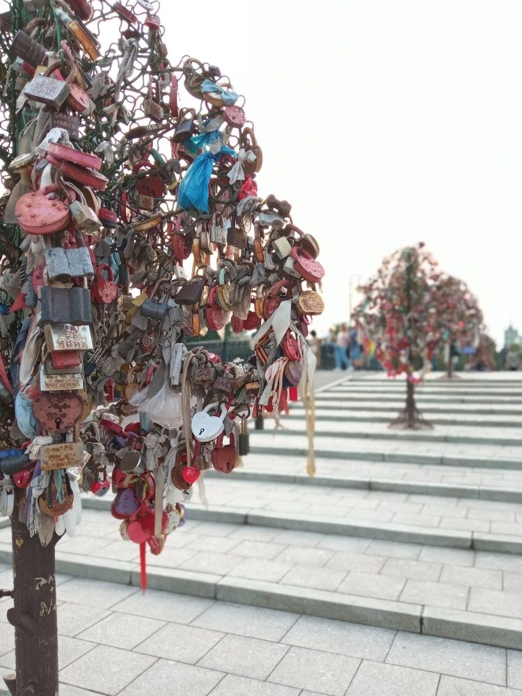 Photograph by Мария Раззувайло