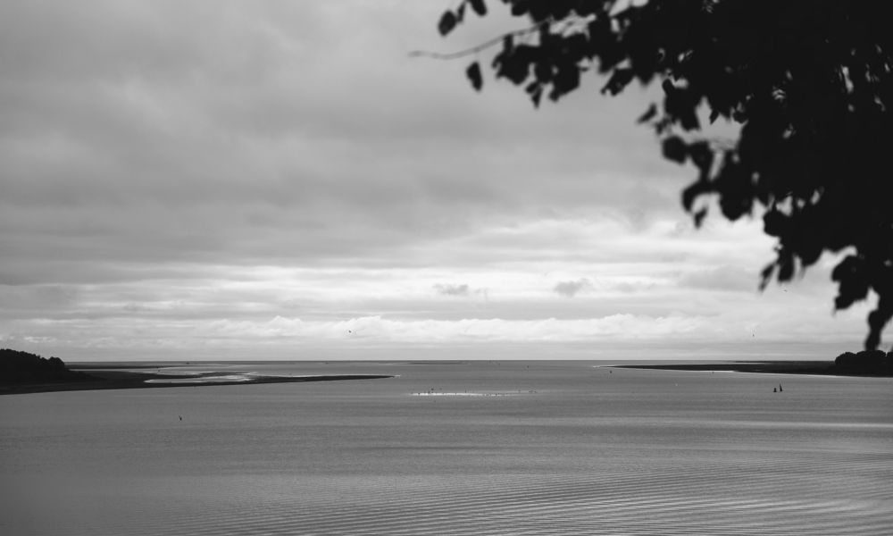 Photograph by Дмитрий