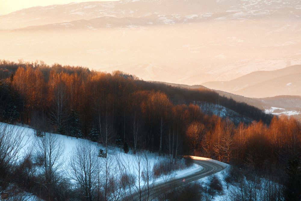 Photograph by Roman Vislobokov