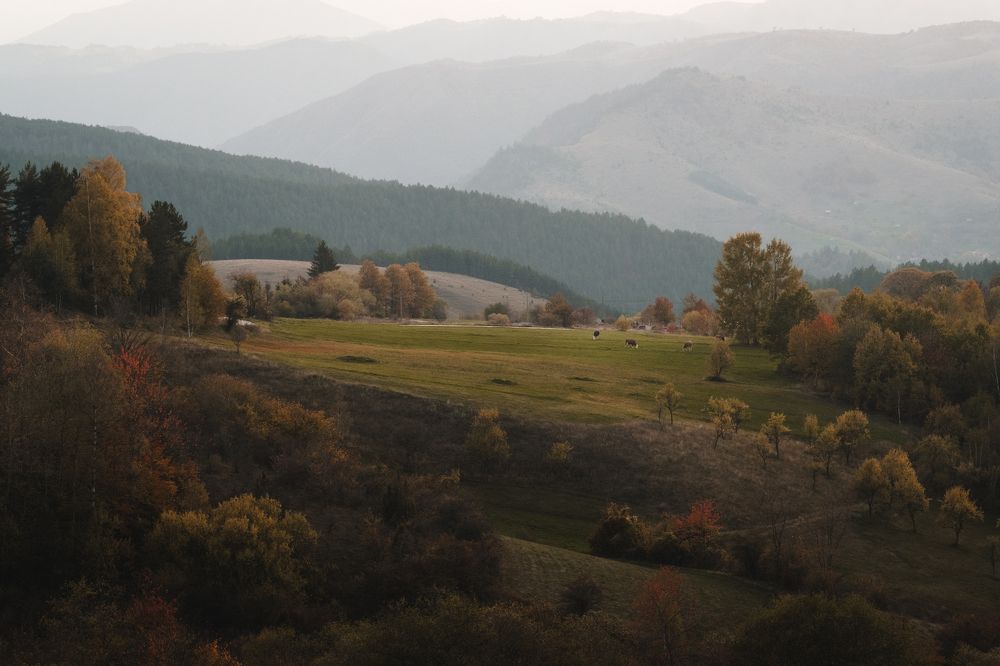 Photograph by Roman Vislobokov