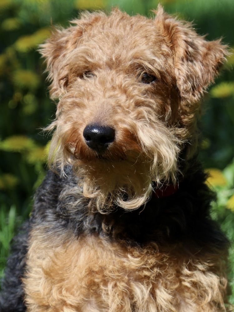 Photograph by Рина Серёгина