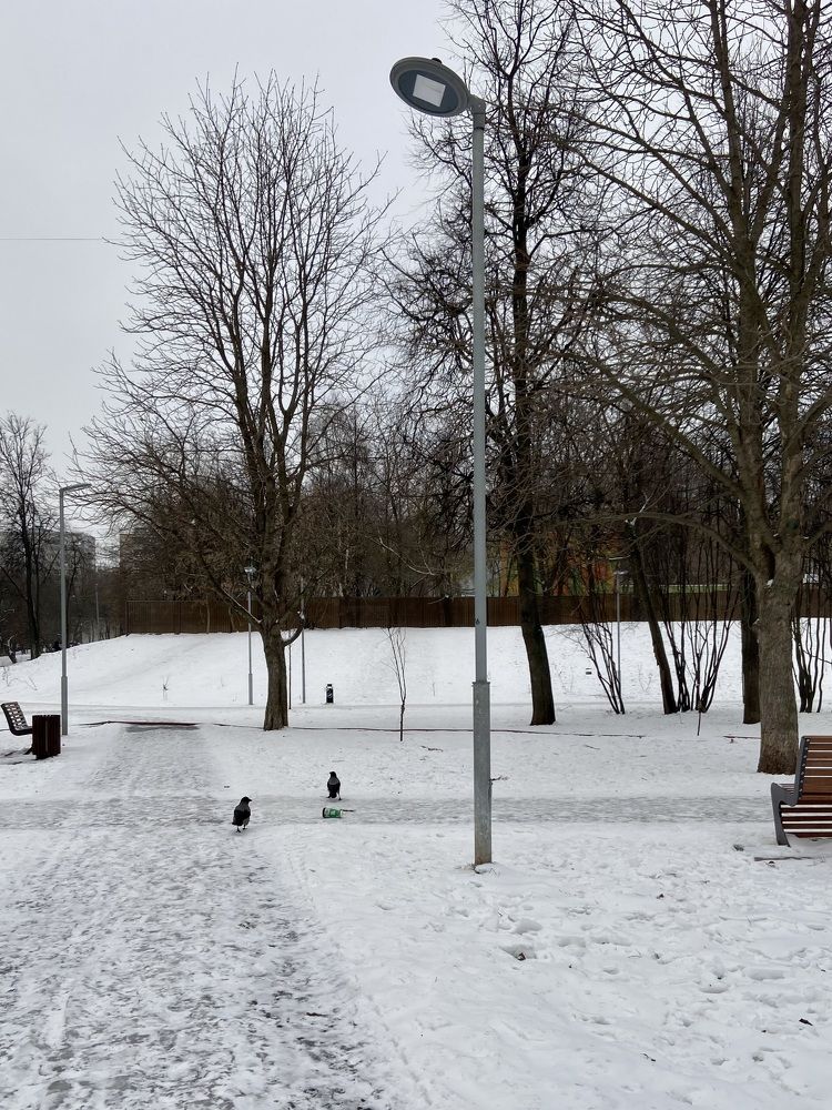 Photograph by Рина Серёгина