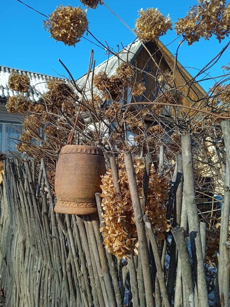 Зима в деревне