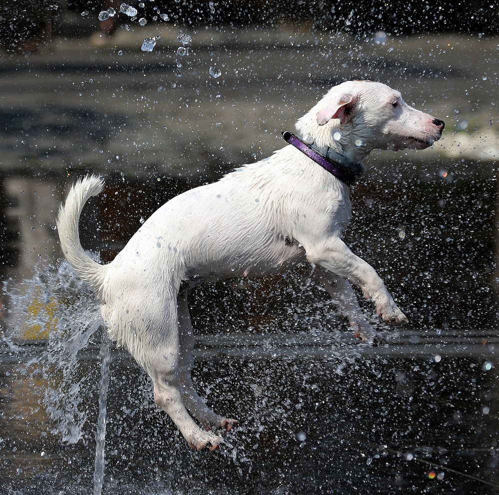 Photograph by Бибичков Михаил