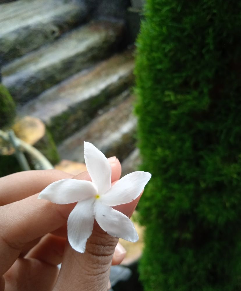 Photograph by Mariam