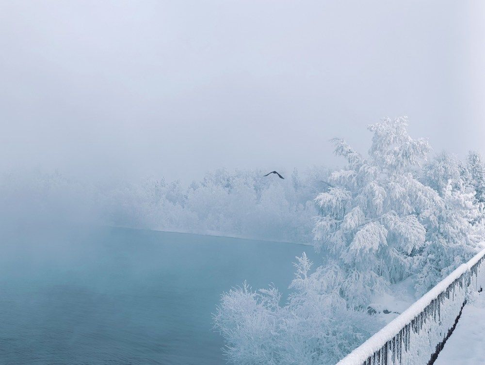 Photograph by Елена Шишкина