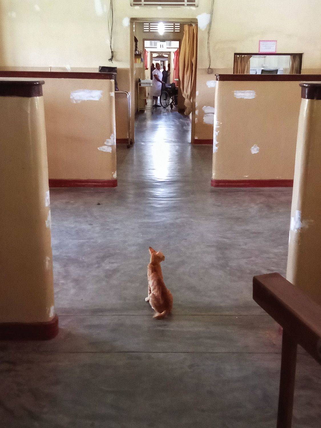 Photo #11637435