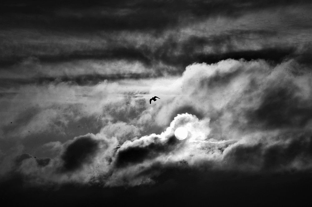 Фотография автора Ольга Пушленкова