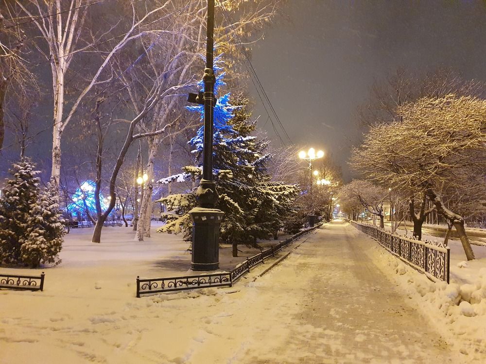 Photograph by Жанна Регор