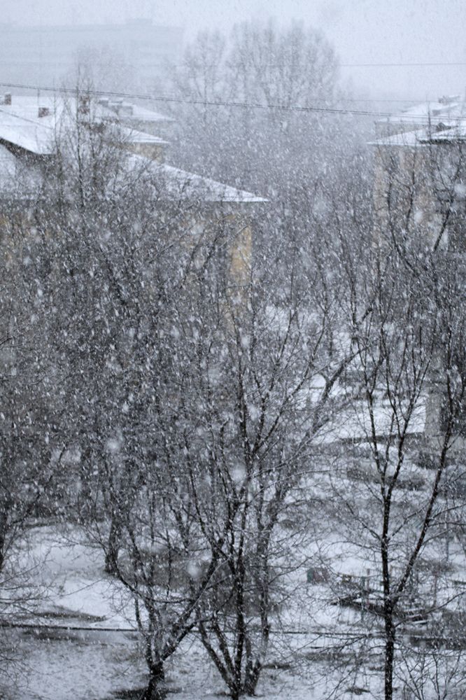 Photograph by Олег Тетерин