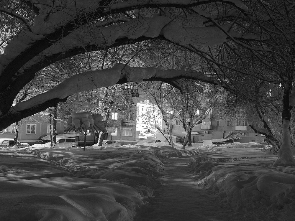 Photograph by Олег Тетерин