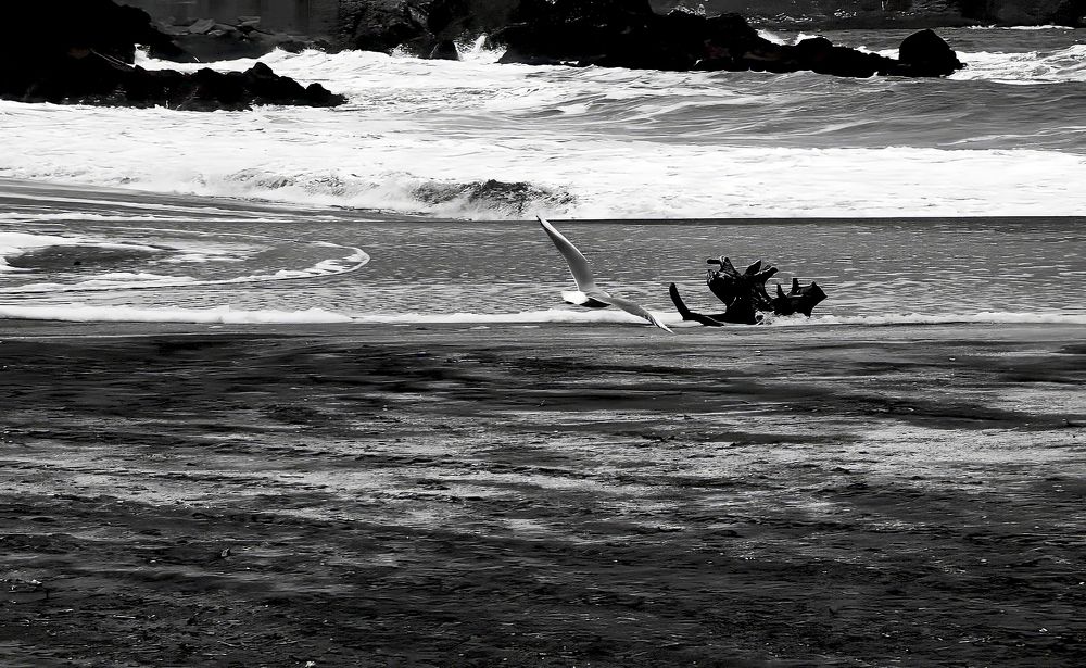 Photograph by Mauro Arlegui