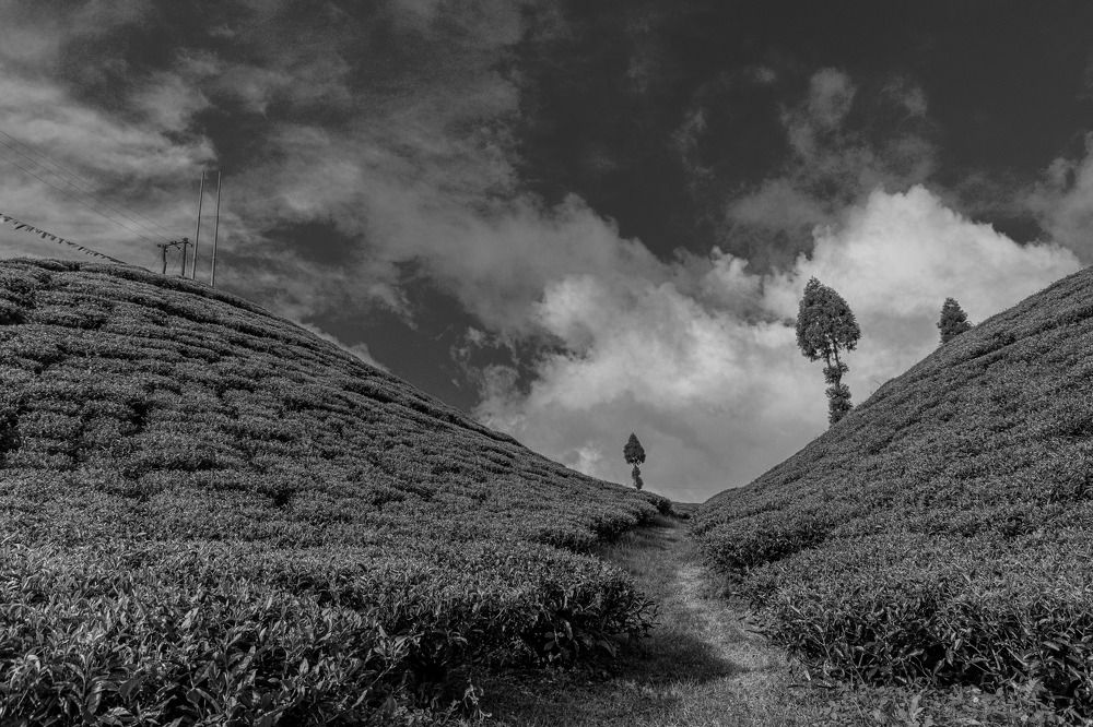 Фотография автора Shuvadeep Paul