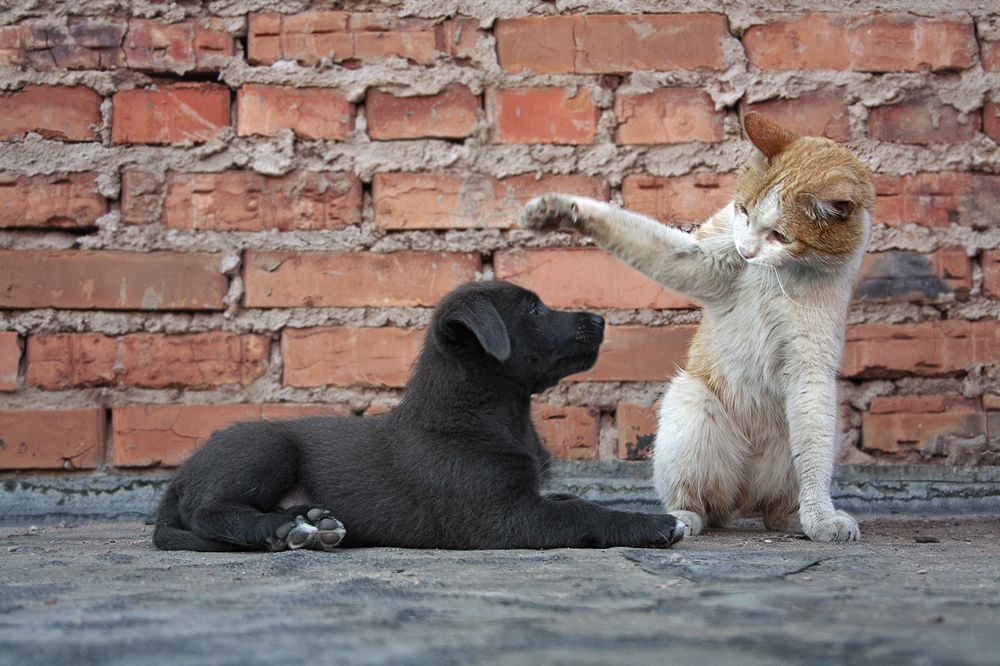 Photograph by Аркадова Елена